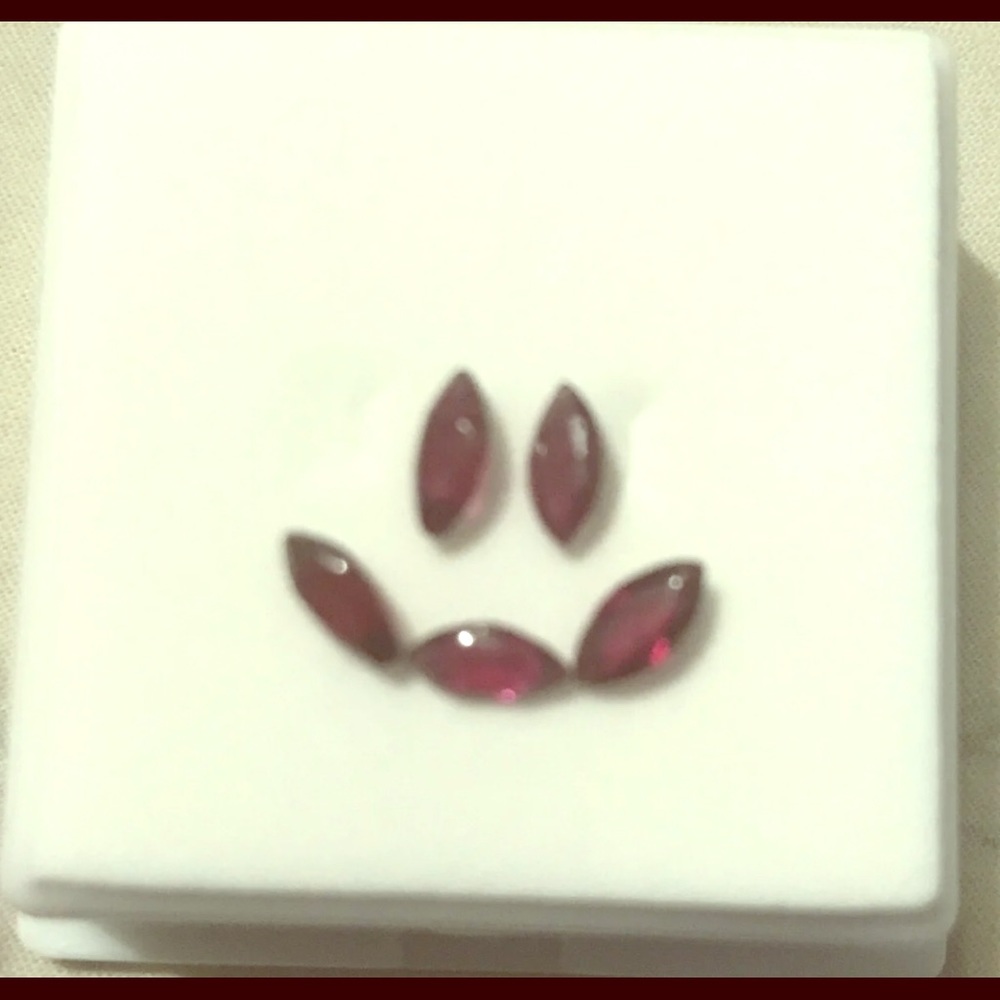 Loose Garnet Lot 5